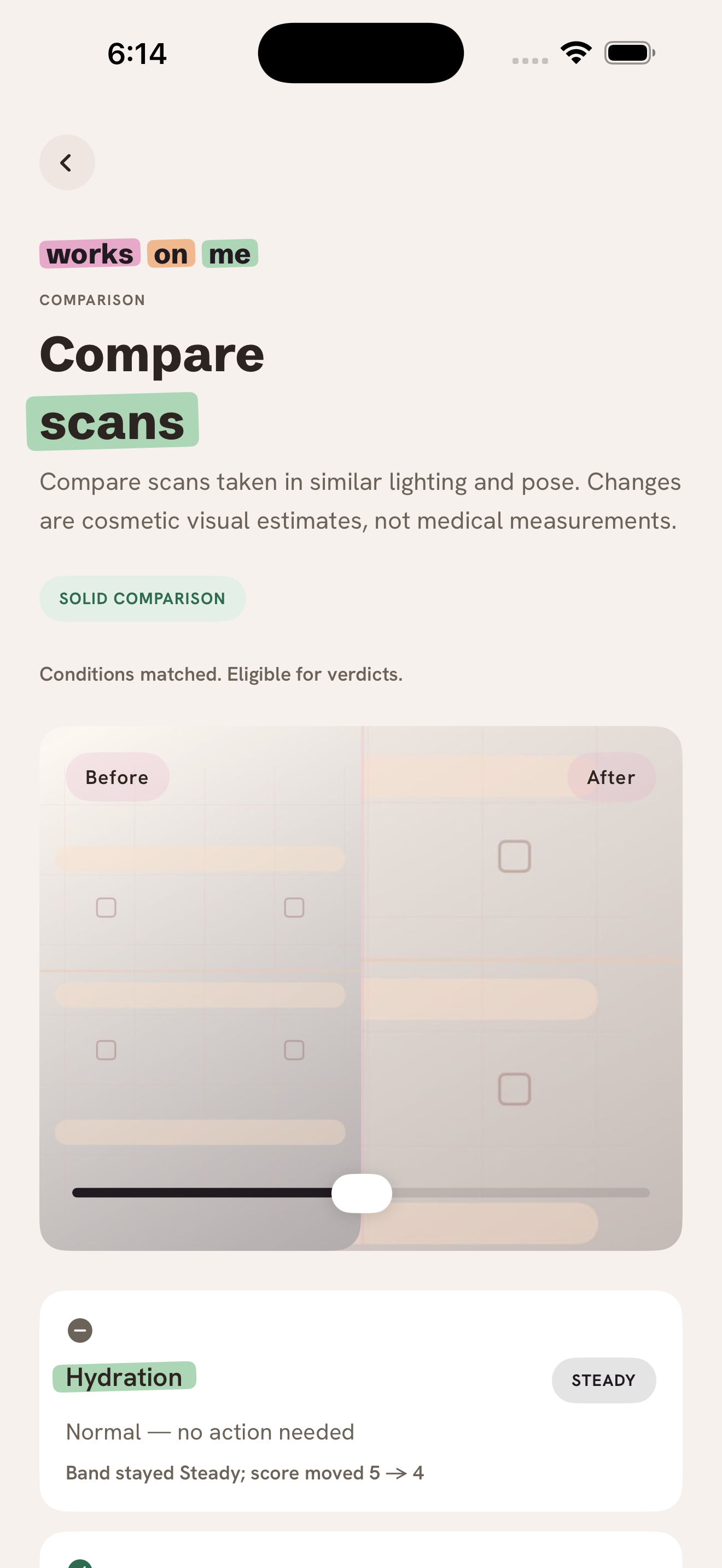Works On Me comparison screen with matched scan context